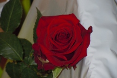 DSCN5503